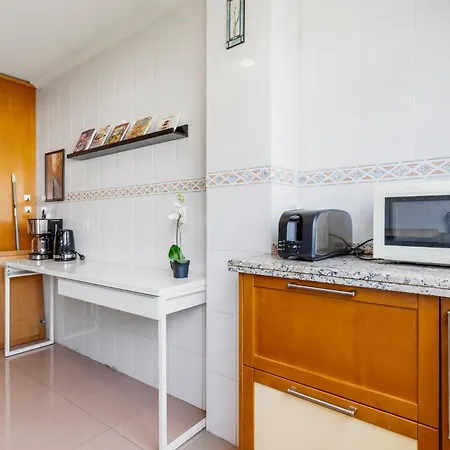Penthouse With Seaview By Costarentals - Ref 08 公寓 托雷莫利诺斯